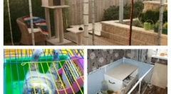 Feline aviariar într-un apartament sau o țară la țară: cum să alegeți sau să o faceți singur